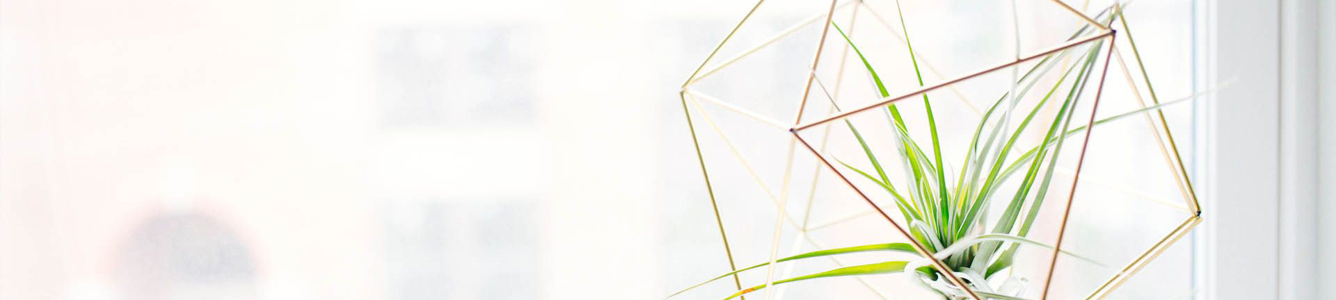 banner2