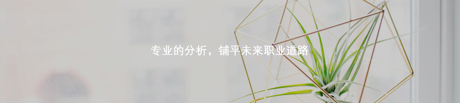 研究生申请